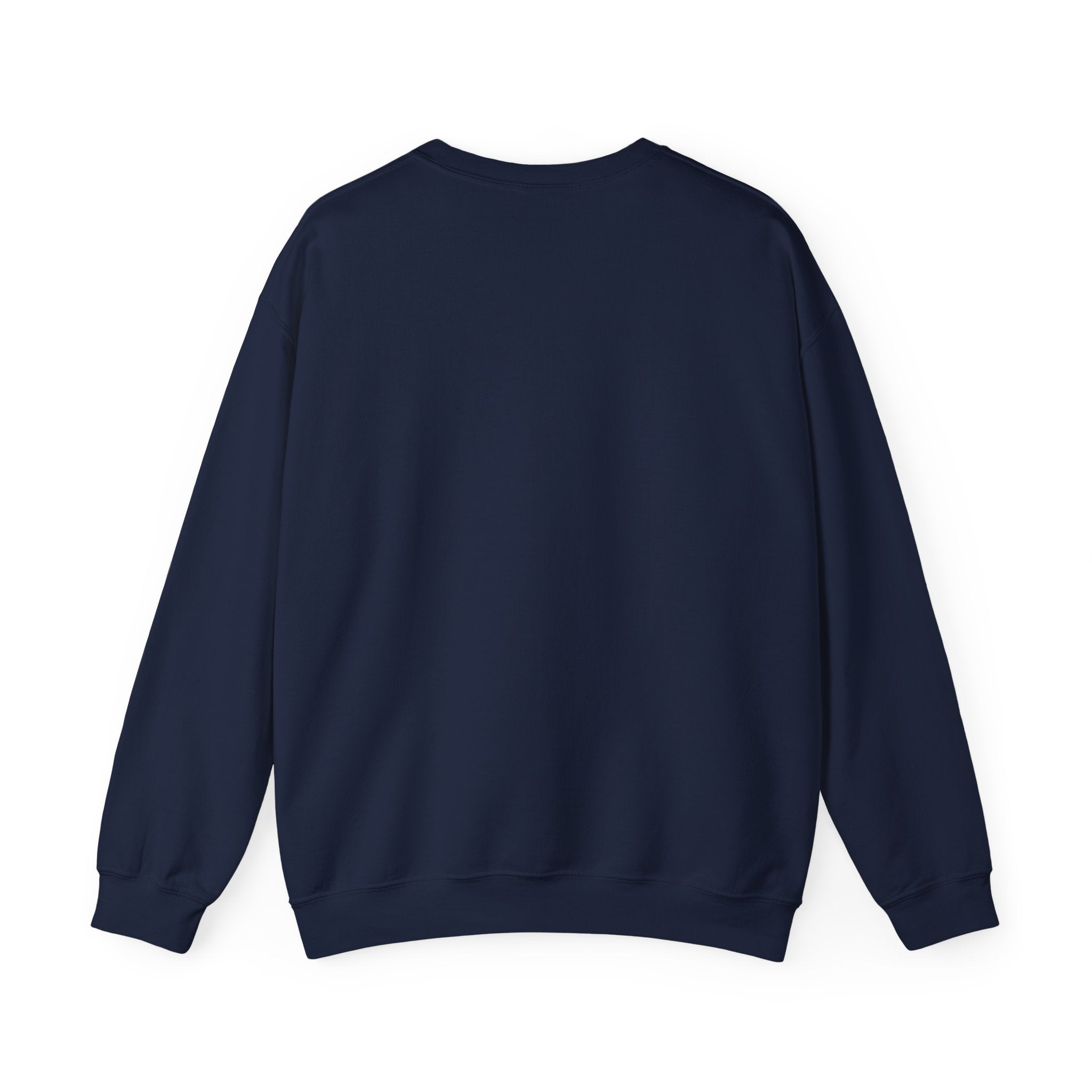 DRIZZLE Crewneck Sweatshirt — Cozy Casual Streetwear in various colours