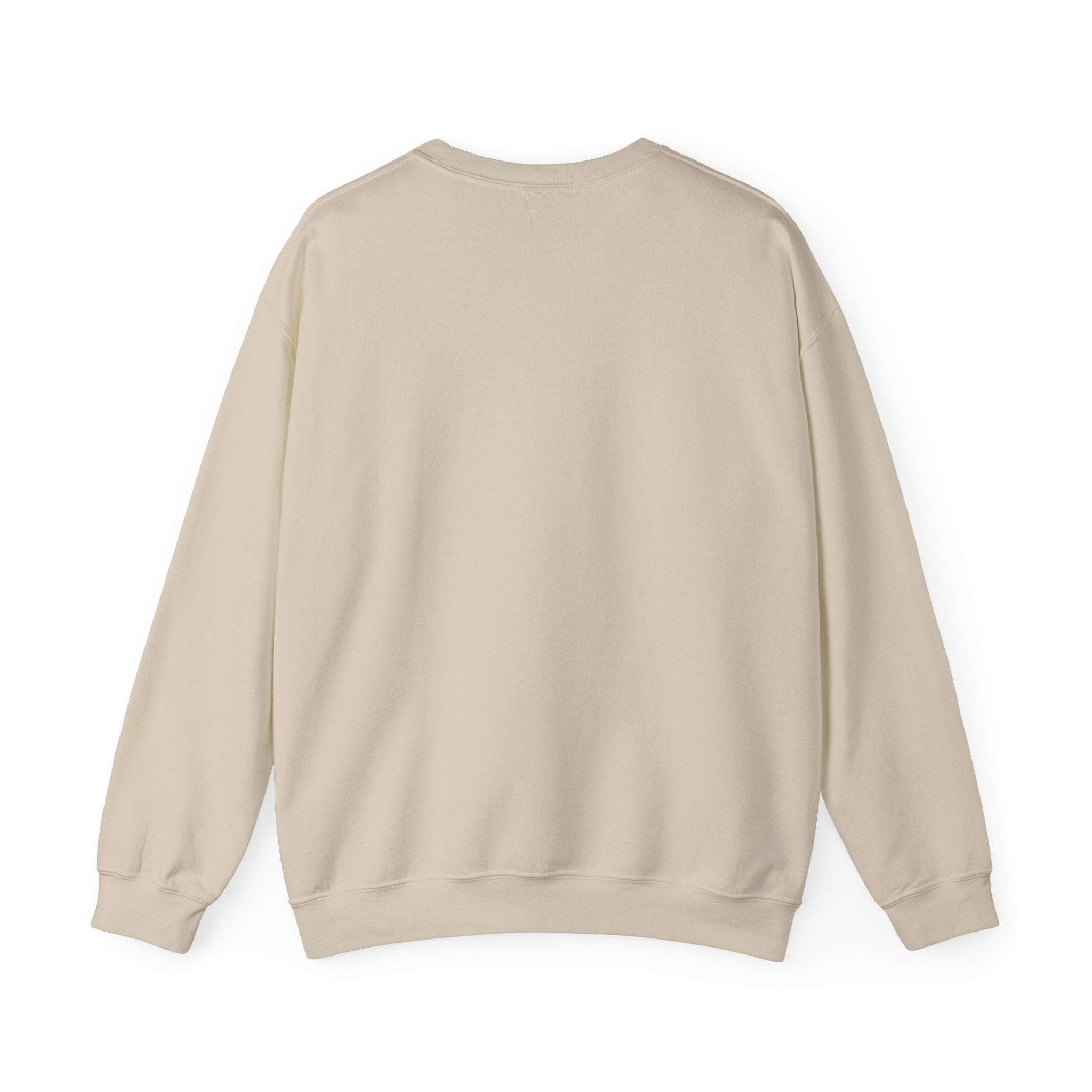 DRIZZLE Crewneck Sweatshirt — Cozy Casual Streetwear in various colours